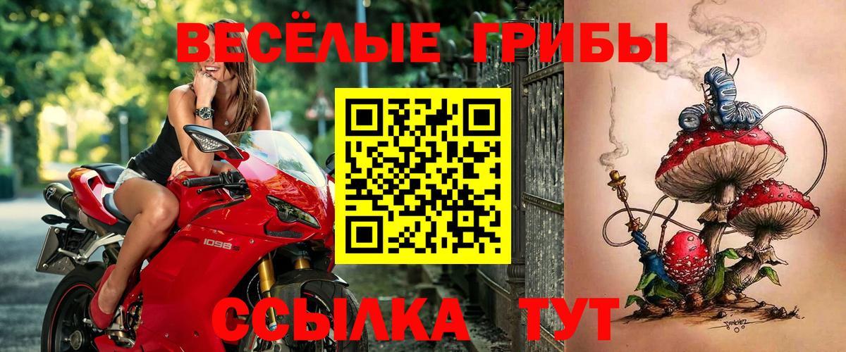 Красноармейск  Псилоцибиновые грибы ЛСД  Вход с VPN 